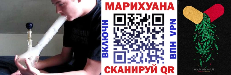 Шишки марихуана планчик  Сунжа 